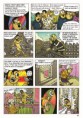 /album/tome-3-la-secte-du-jaune/a15-jpg5/